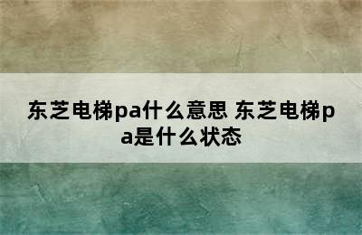 东芝电梯pa什么意思 东芝电梯pa是什么状态